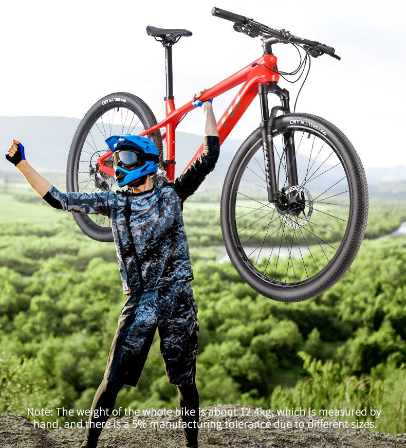 T800 Carbon Mtb Frame