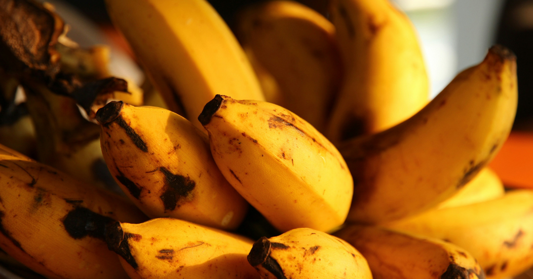 10 Key Fuel Foods for Cycling and Running