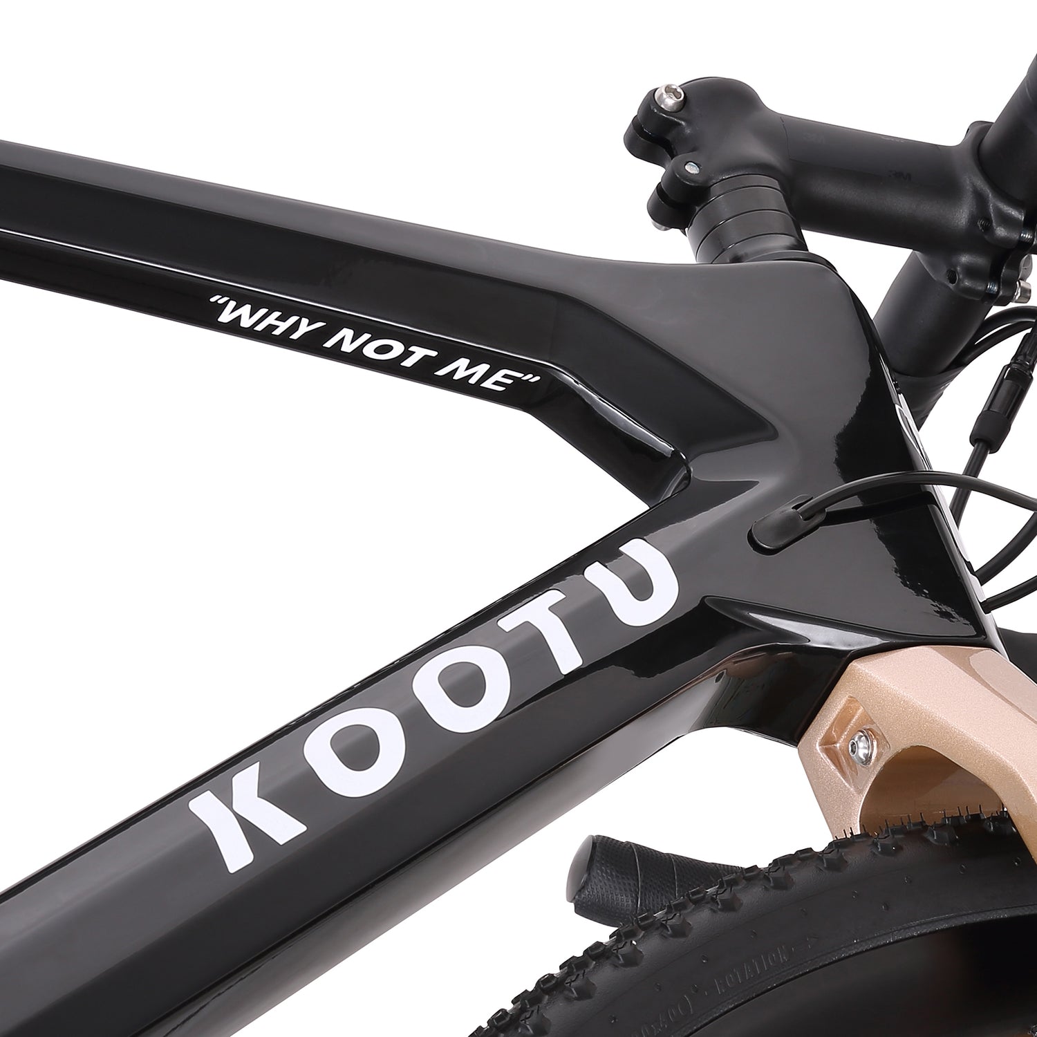 Internal cable routing design-kootubike